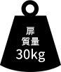 FD30-H 扉質量 30kg